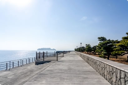 写真：ボードウォーク