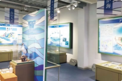 写真:あび資料展示室
