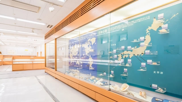 写真:貝と海藻の家