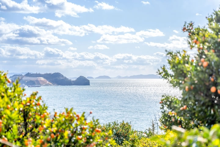 写真:周辺施設・観光